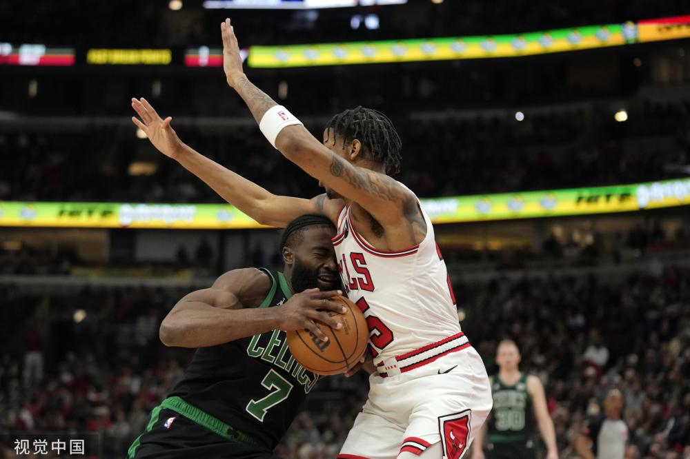 自己的插花 自己的插花